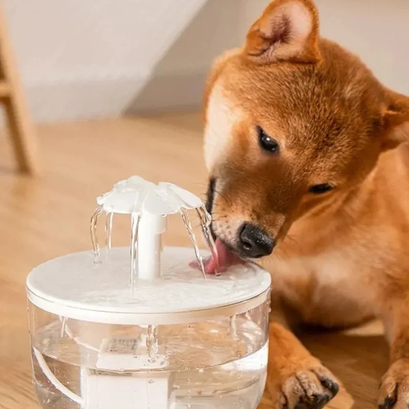 USB Interface Automatic Circulation Drinking Machine Mute Filter-type Petal Flowing Water Purifier Pet Drinking Water Supplies
USB Interface Automatic Circulation Drinking Machine Mute Filter-type Petal Flowing Water Purifier Pet Drinking Water Supplies