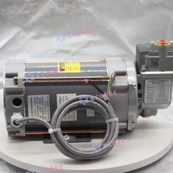 Vapor Recovery Single Pump for Petrol Service Equipment 
Vapor Recovery Single Pump for Petrol Service Equipment