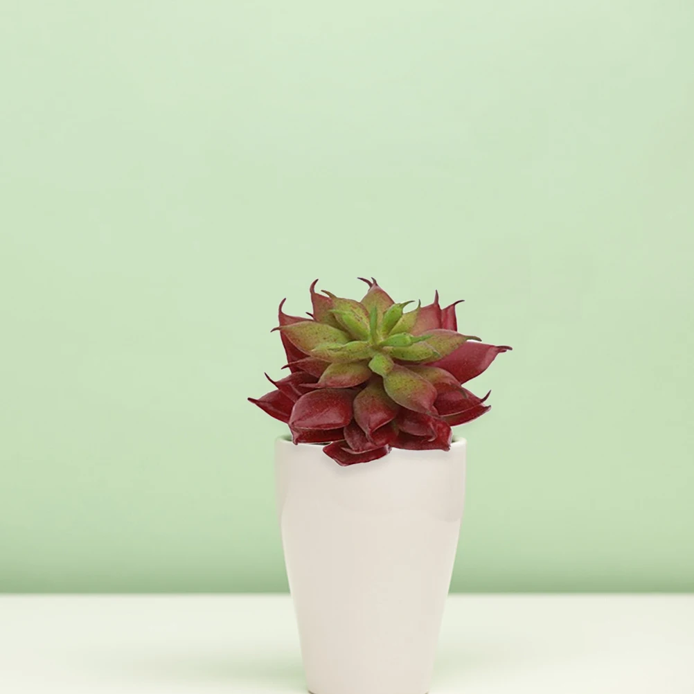 Artificial Succulent Plants Unpotted Cactus Realistic Home Office Decor Plastic Greenery Modern Garden CharmPlants
Artificial Succulent Plants Unpotted Cactus Realistic Home Office Decor Plastic Greenery Modern Garden CharmPlants