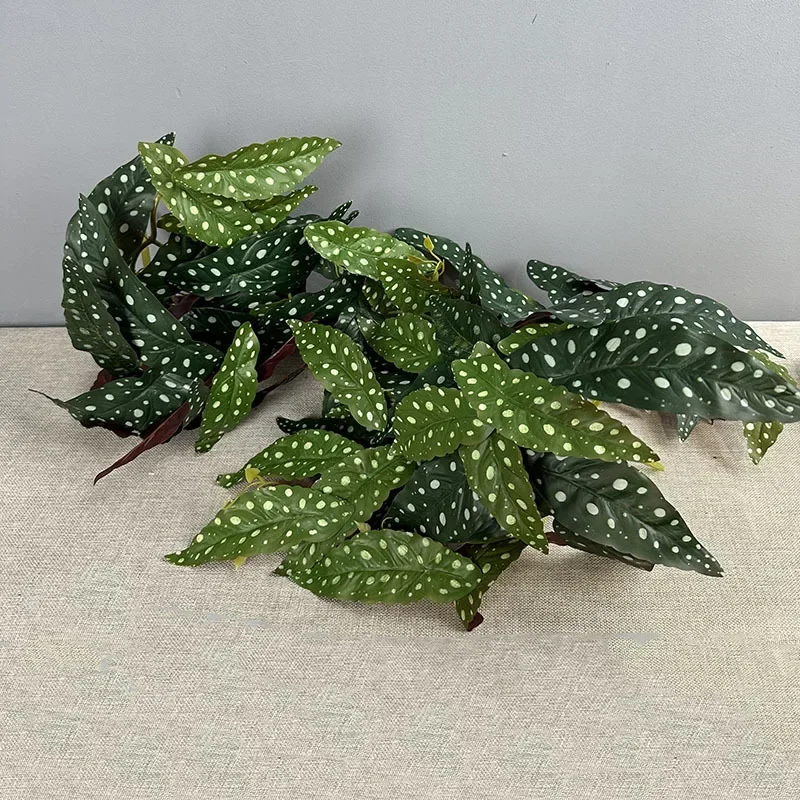 Simulation Green Plants Plastic 29 Forks Crabapple Leaves Vines Restaurant Decoration Artificial Fairy Taro Leaf Plant Vine
Simulation Green Plants Plastic 29 Forks Crabapple Leaves Vines Restaurant Decoration Artificial Fairy Taro Leaf Plant Vine