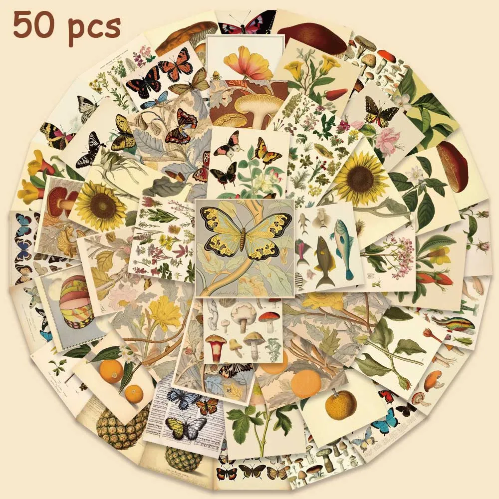 50pcs Vintage Flower Animal Postcard Stickers Aesthetic Decals For Laptop Guitar Stationery Skateboard Helmet Diary Stickers
50pcs Vintage Flower Animal Postcard Stickers Aesthetic Decals For Laptop Guitar Stationery Skateboard Helmet Diary Stickers
