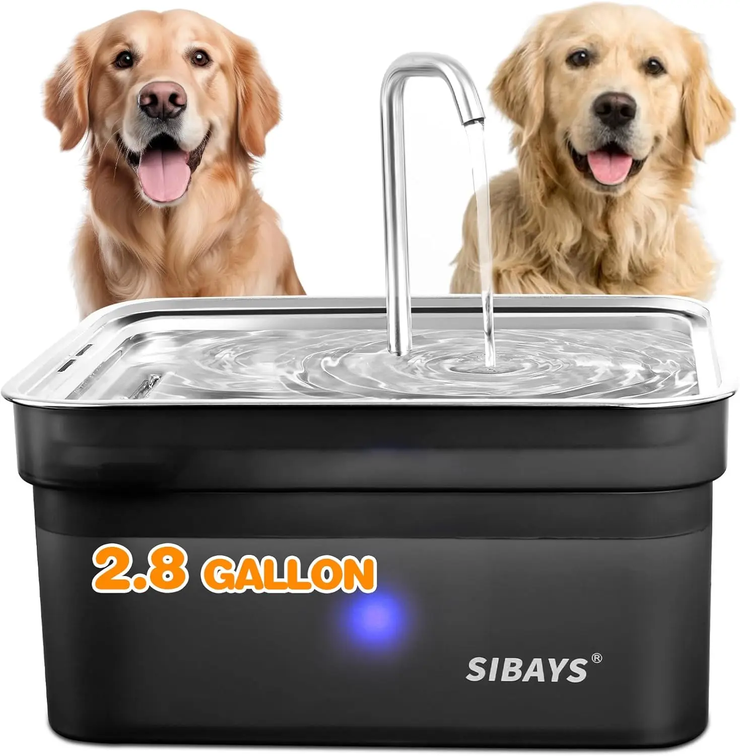 Large Capacity Automatic Pet Water Fountain with Stainless Steel Bowl, Easy Clean BPA-Free for Dogs and Cats
Large Capacity Automatic Pet Water Fountain with Stainless Steel Bowl, Easy Clean BPA-Free for Dogs and Cats