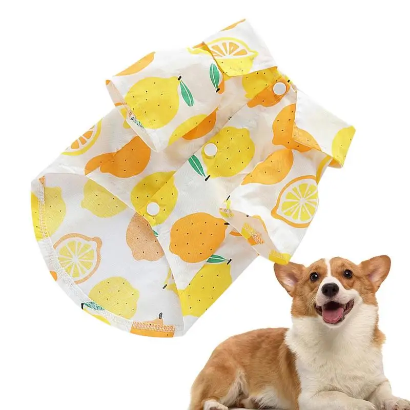 Fruit Dog Shirt Breathable Dog Apparel Pet Apparel Puppy Clothes Dog Apparel Fruit Print Puppy Outfit For Small Medium Dogs In
Fruit Dog Shirt Breathable Dog Apparel Pet Apparel Puppy Clothes Dog Apparel Fruit Print Puppy Outfit For Small Medium Dogs In