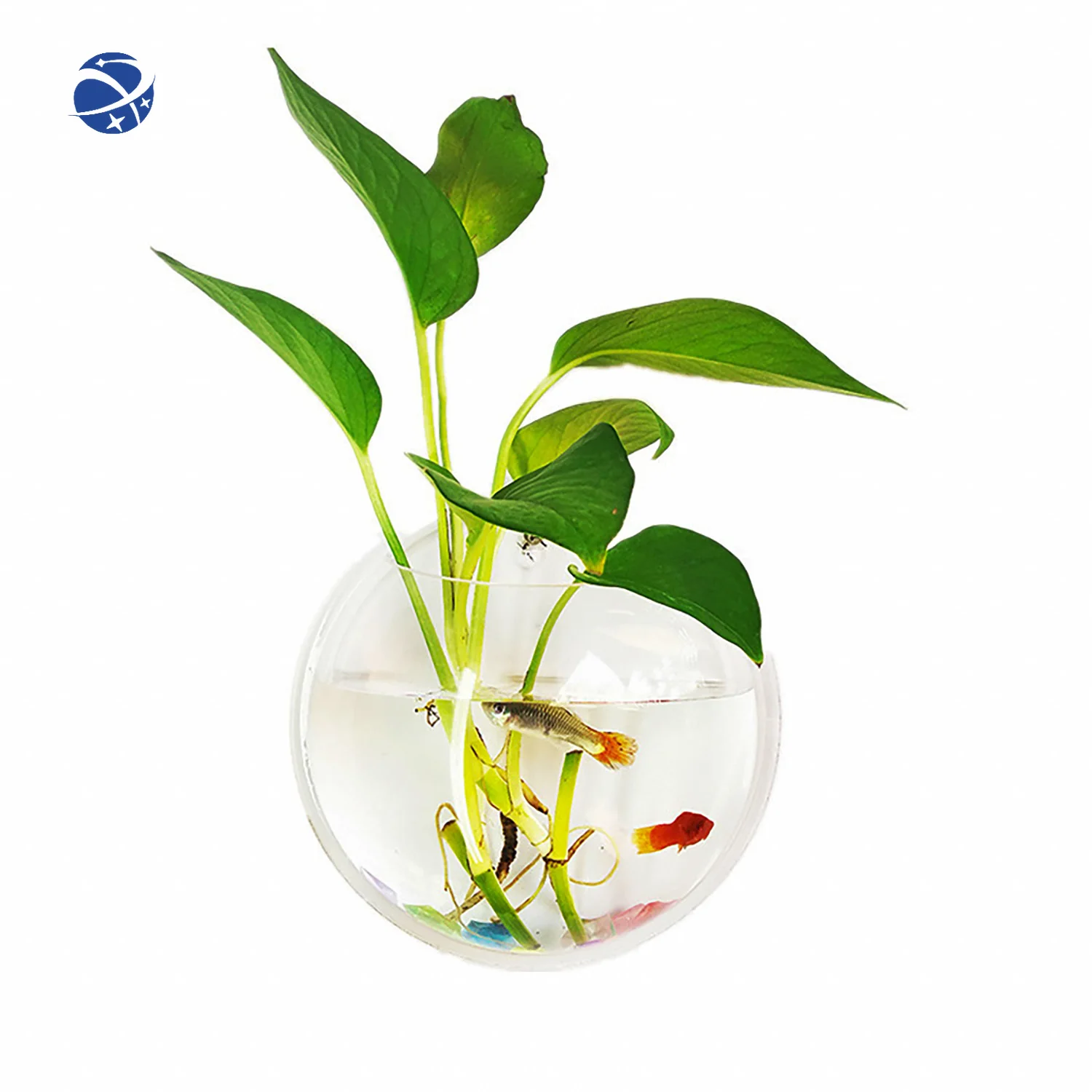 54pcs 15cm popular creative transparent acrylic hanging fish tank wall-mounted transparent acrylic flower pot decoration
54pcs 15cm popular creative transparent acrylic hanging fish tank wall-mounted transparent acrylic flower pot decoration