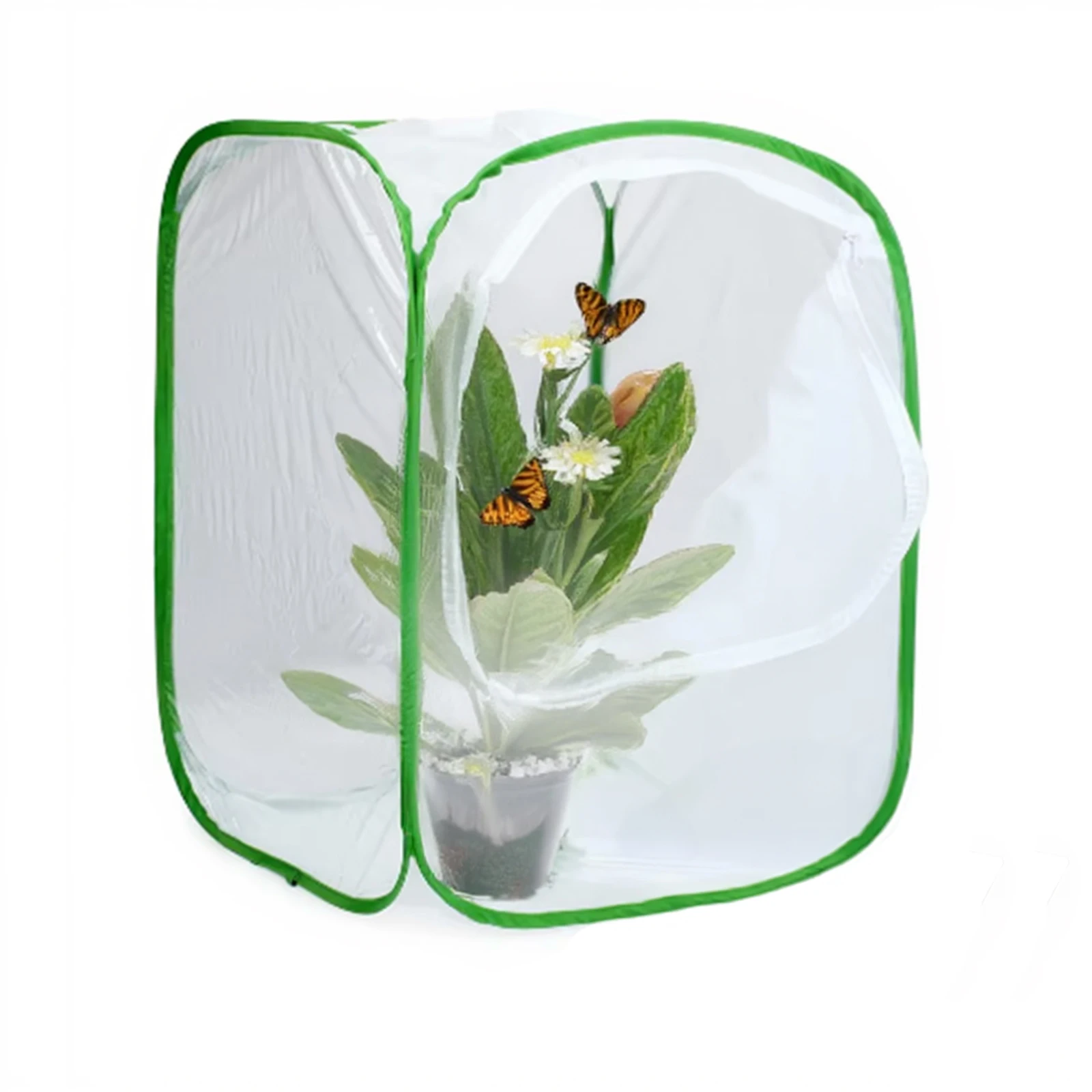 61X61X91CM Outdoor Mesh Plant Enclosure Mesh Plant Cover for Insect and Butterfly Habitat Cage TerrariumPop-Up Cage
61X61X91CM Outdoor Mesh Plant Enclosure Mesh Plant Cover for Insect and Butterfly Habitat Cage TerrariumPop-Up Cage