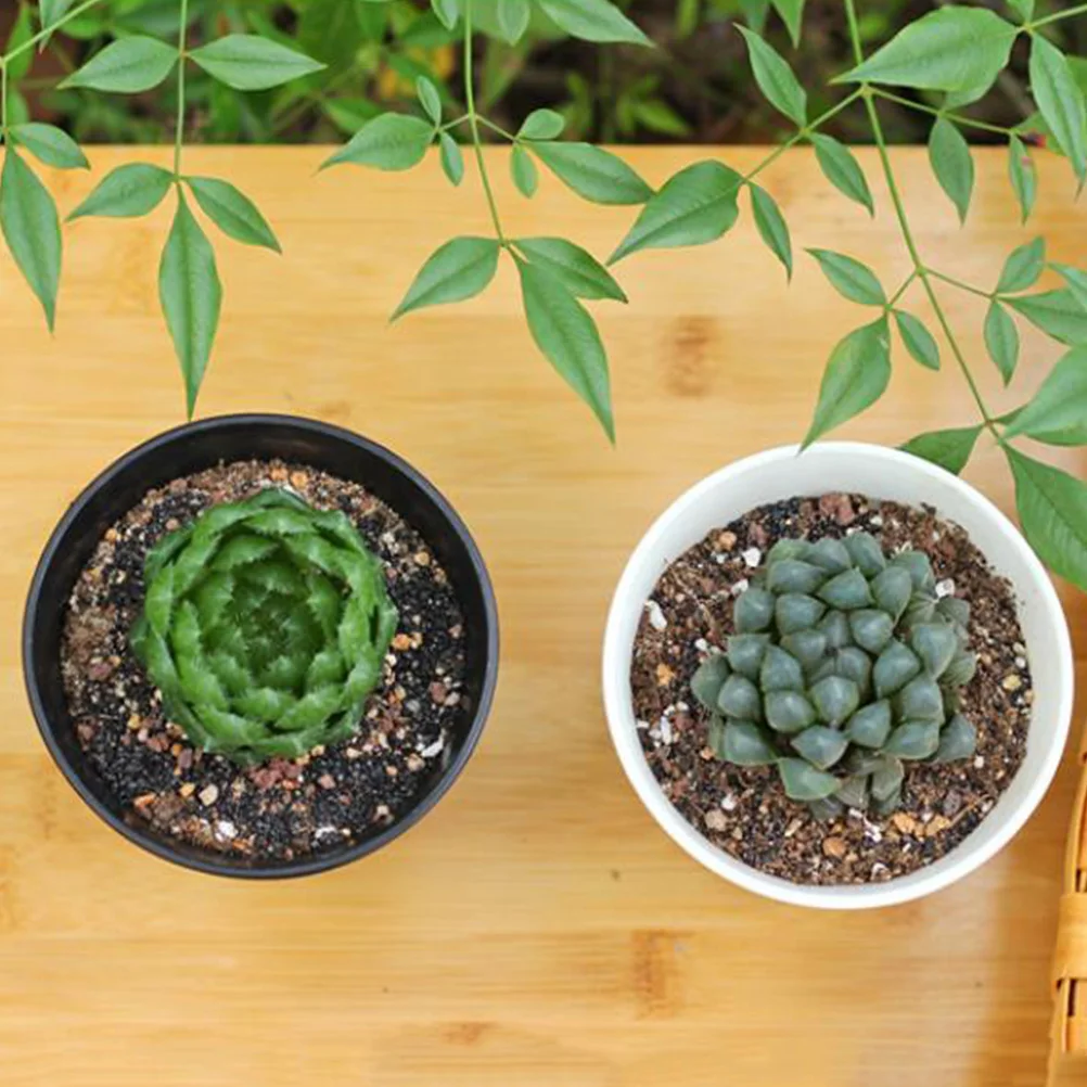 6 Pcs Root Control Basin Planter Pots Indoor Plants Nursery Garden Flowerpots Breathable
6 Pcs Root Control Basin Planter Pots Indoor Plants Nursery Garden Flowerpots Breathable