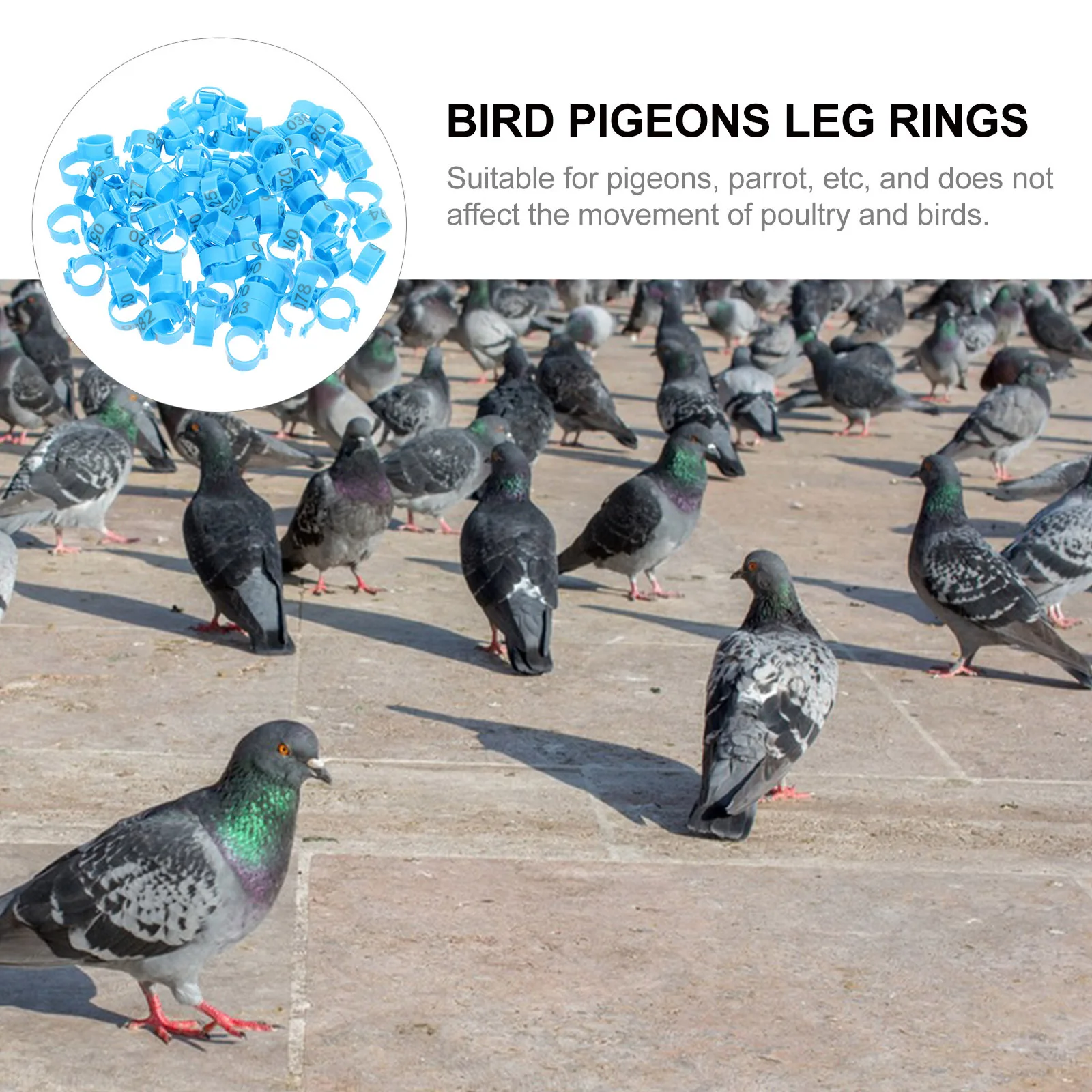 100Pcs Numbered Pigeon Foot Rings Durable Plastic Identifying Rings for Racing Pigeons Bird Leg Bands Supplies
100Pcs Numbered Pigeon Foot Rings Durable Plastic Identifying Rings for Racing Pigeons Bird Leg Bands Supplies