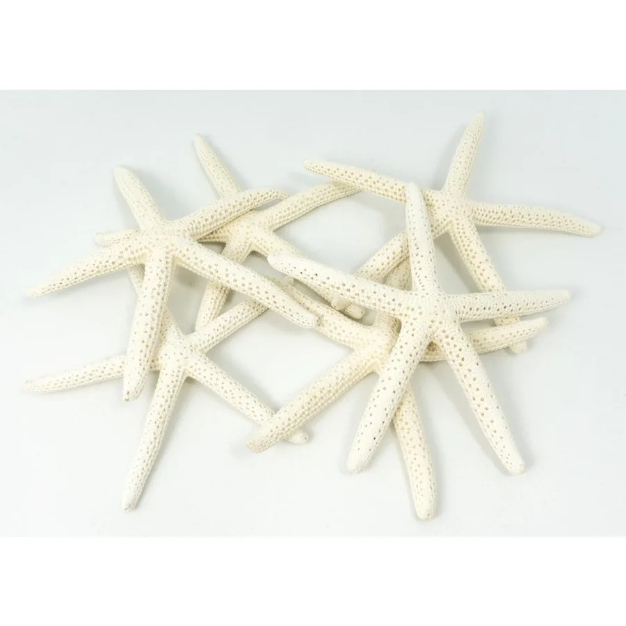 Starfish Decor - Star Fish for Craft - 6pk Real 3-4" White Sea Stars - Beach Wedding Decor - Coastal Party Decorations - Seashe
Starfish Decor - Star Fish for Craft - 6pk Real 3-4" White Sea Stars - Beach Wedding Decor - Coastal Party Decorations - Seashe