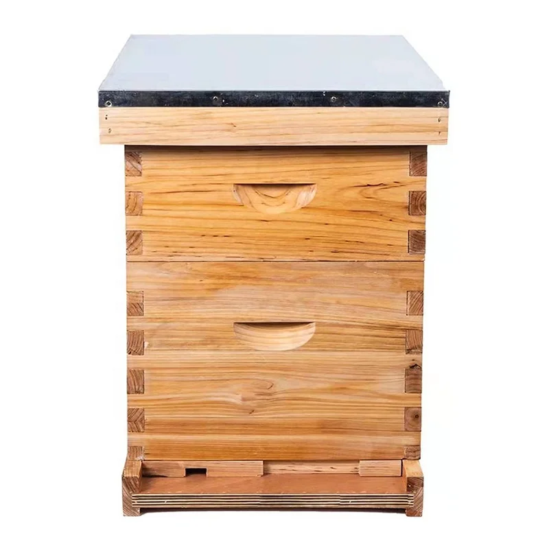 High quality 2 layer new condition beekeeping equipment pine beehives
High quality 2 layer new condition beekeeping equipment pine beehives