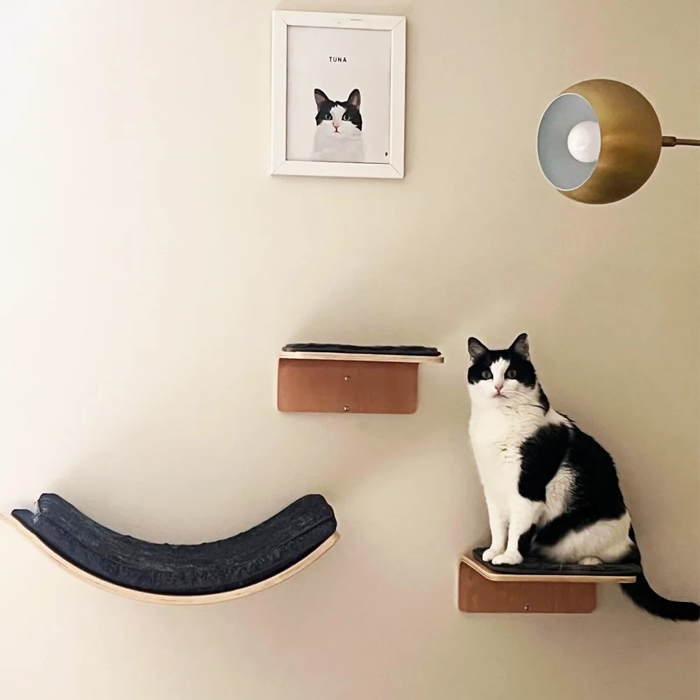 Cat ledge with cushions wall cat platform cat steps curved cat ledge wall mounted cat bed for sleeping, playing and climbing
Cat ledge with cushions wall cat platform cat steps curved cat ledge wall mounted cat bed for sleeping, playing and climbing