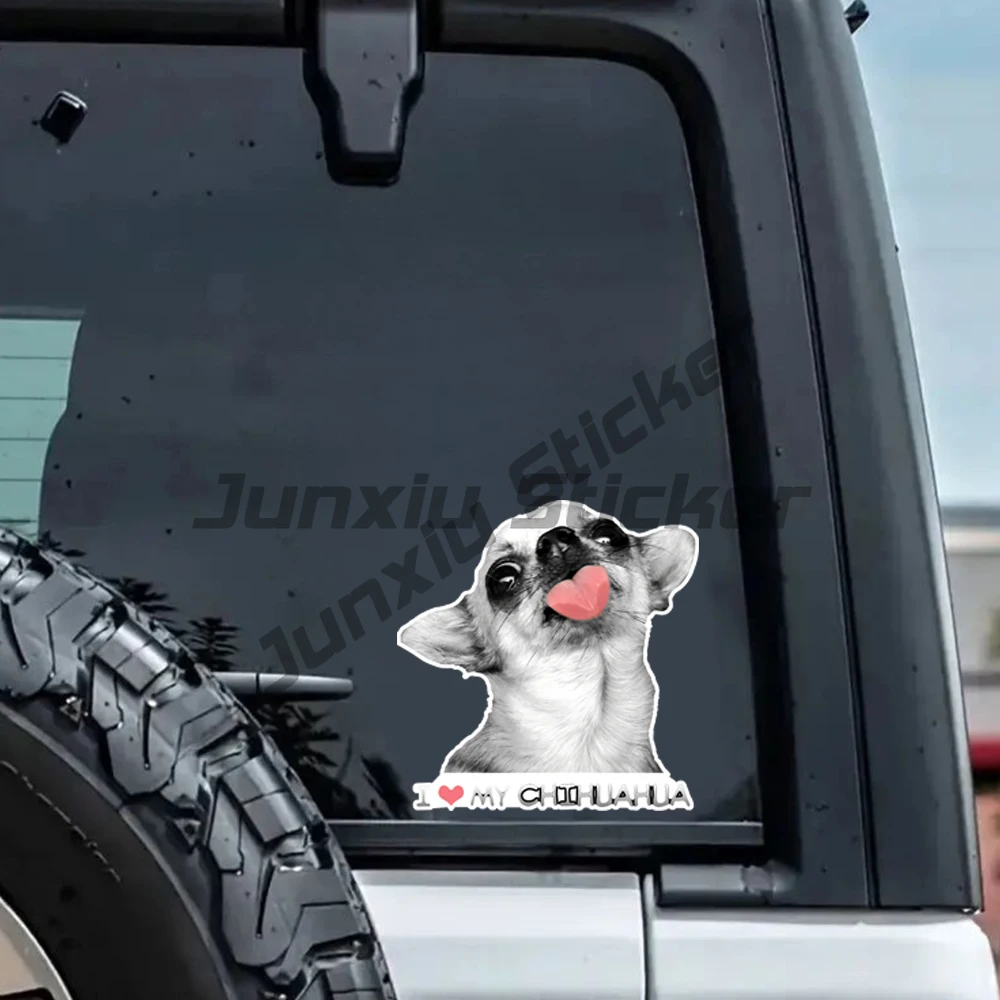 I Love My Chihuahua Vinyl Decal Sticker, Durable Sticker for Cars, Trucks, SUVs, Motorcycles, Laptops, Helmets
I Love My Chihuahua Vinyl Decal Sticker, Durable Sticker for Cars, Trucks, SUVs, Motorcycles, Laptops, Helmets