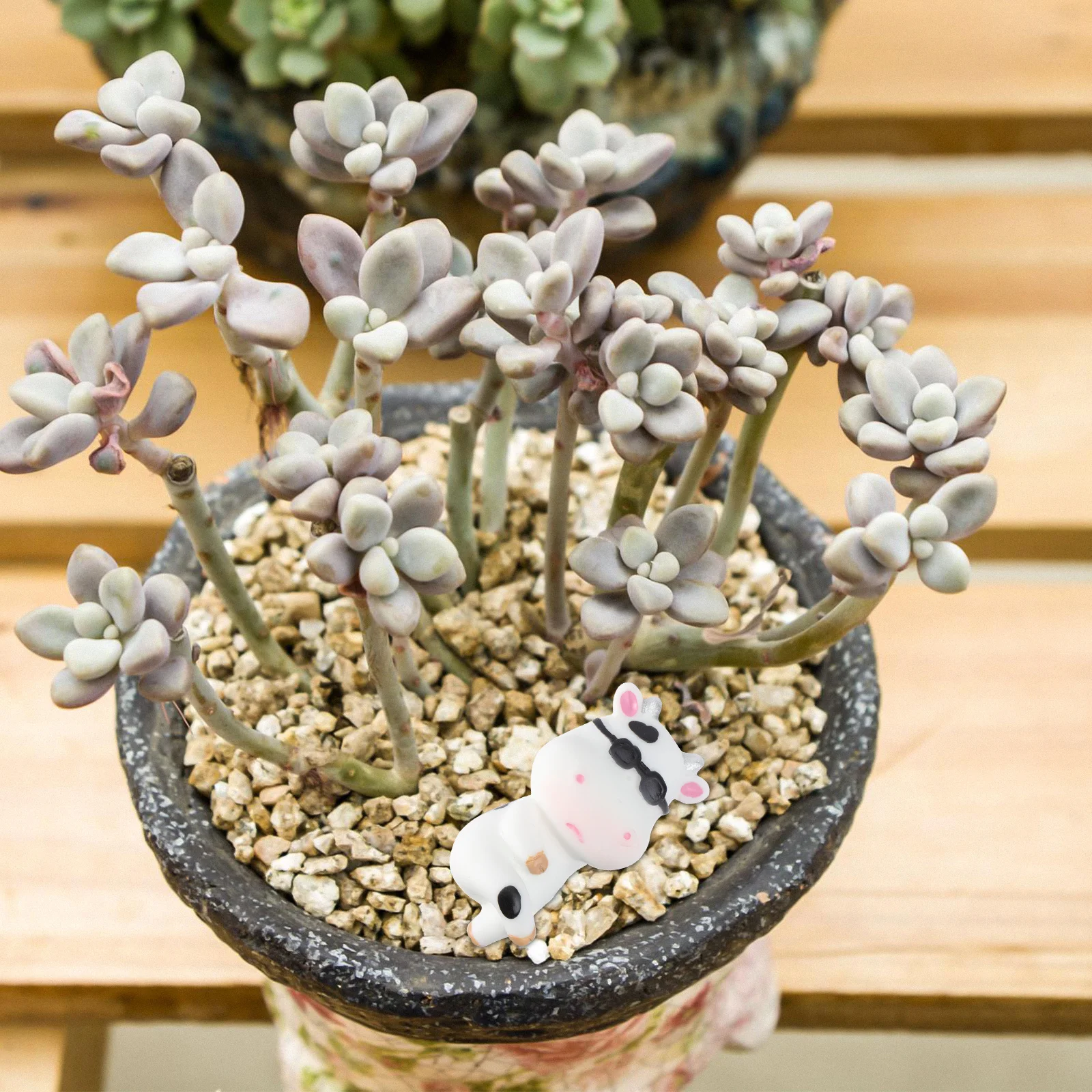 6Pcs Desktop Resin Animals Craft Kit Mini Cow Figurines for Creative Gardening Project Friendly Decorative Ornament Set
6Pcs Desktop Resin Animals Craft Kit Mini Cow Figurines for Creative Gardening Project Friendly Decorative Ornament Set