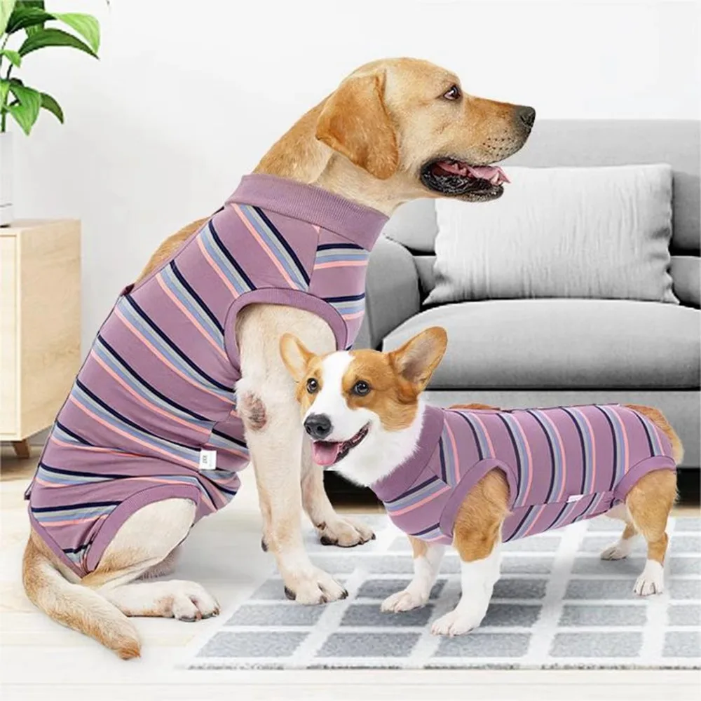 Breathable Dog Surgery Recovery Suit Thickened Soft Warm Neuter Anti-Lick Suit Comfortable Bite Protective Outfit
Breathable Dog Surgery Recovery Suit Thickened Soft Warm Neuter Anti-Lick Suit Comfortable Bite Protective Outfit