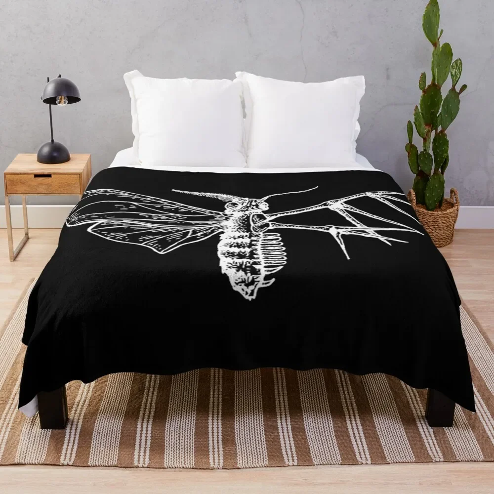 moth body anatomy skeleton Throw Blanket blankets and throws christmas decoration Blankets
moth body anatomy skeleton Throw Blanket blankets and throws christmas decoration Blankets