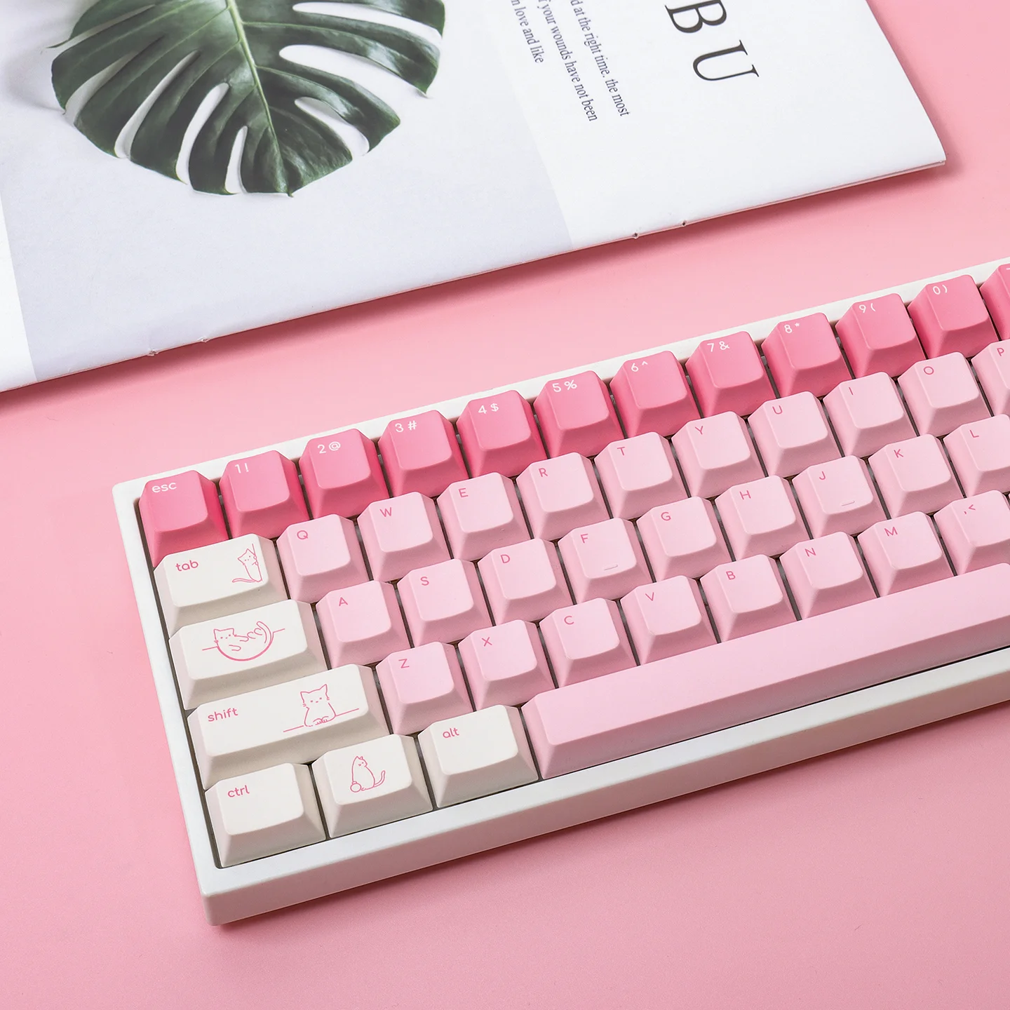 Minimalist cute small font pink kitten keycap PBT five-sided sublimation cherry original factory
Minimalist cute small font pink kitten keycap PBT five-sided sublimation cherry original factory