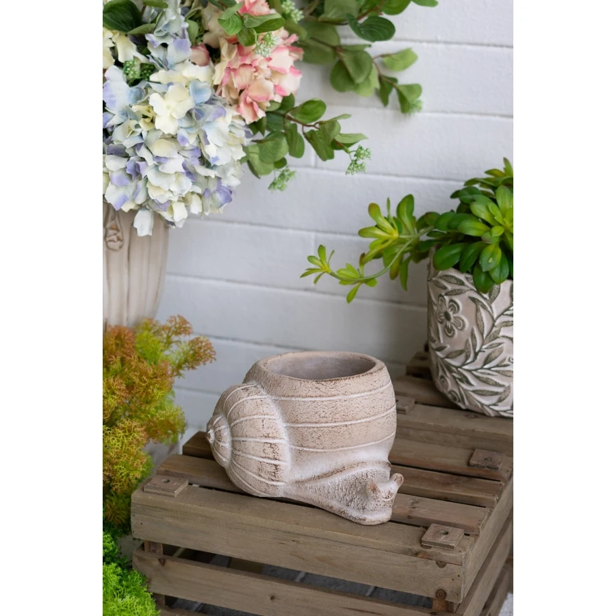Decorative sand and cement snail planter for indoor/outdoor use, beige textured finish, lightweight yet durable, ideal for succ
Decorative sand and cement snail planter for indoor/outdoor use, beige textured finish, lightweight yet durable, ideal for succ