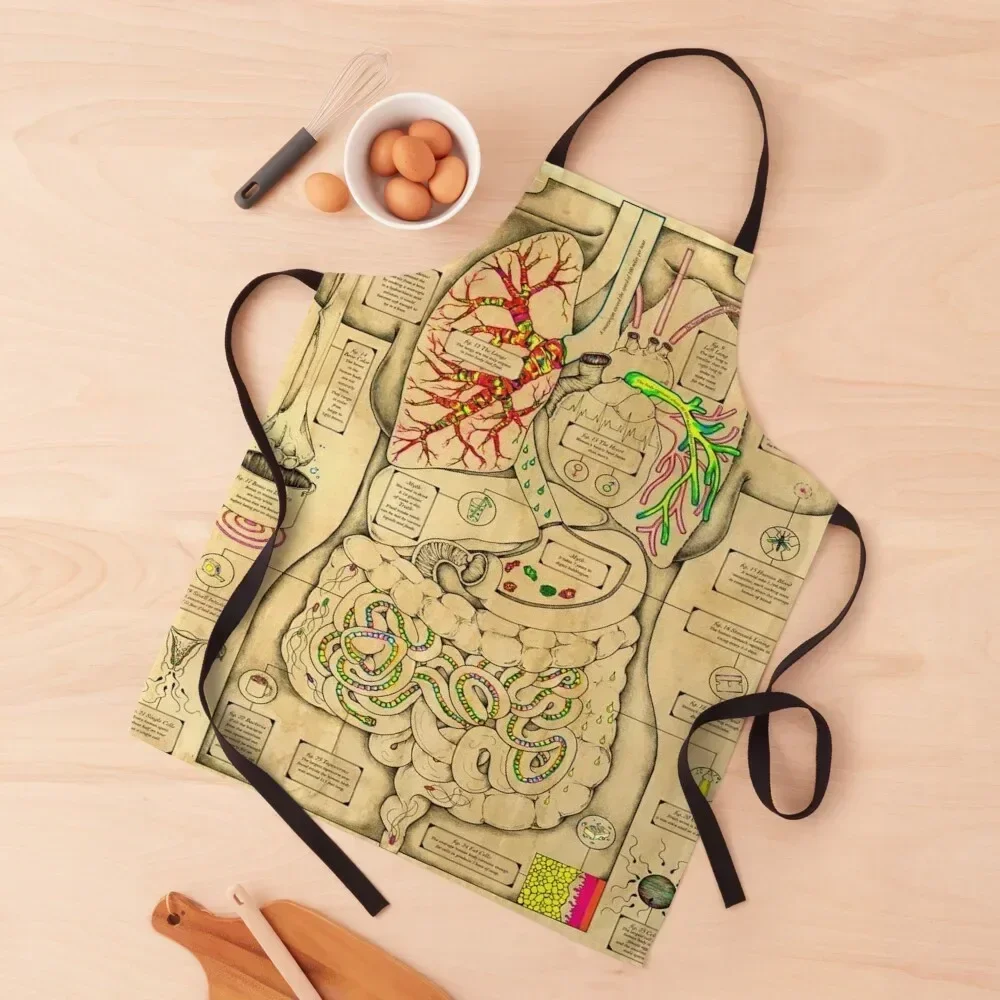 Anatomy of the Body Apron Goods For Home And Kitchen House Things For Home And Kitchen Men kitchen chef costume Apron
Anatomy of the Body Apron Goods For Home And Kitchen House Things For Home And Kitchen Men kitchen chef costume Apron