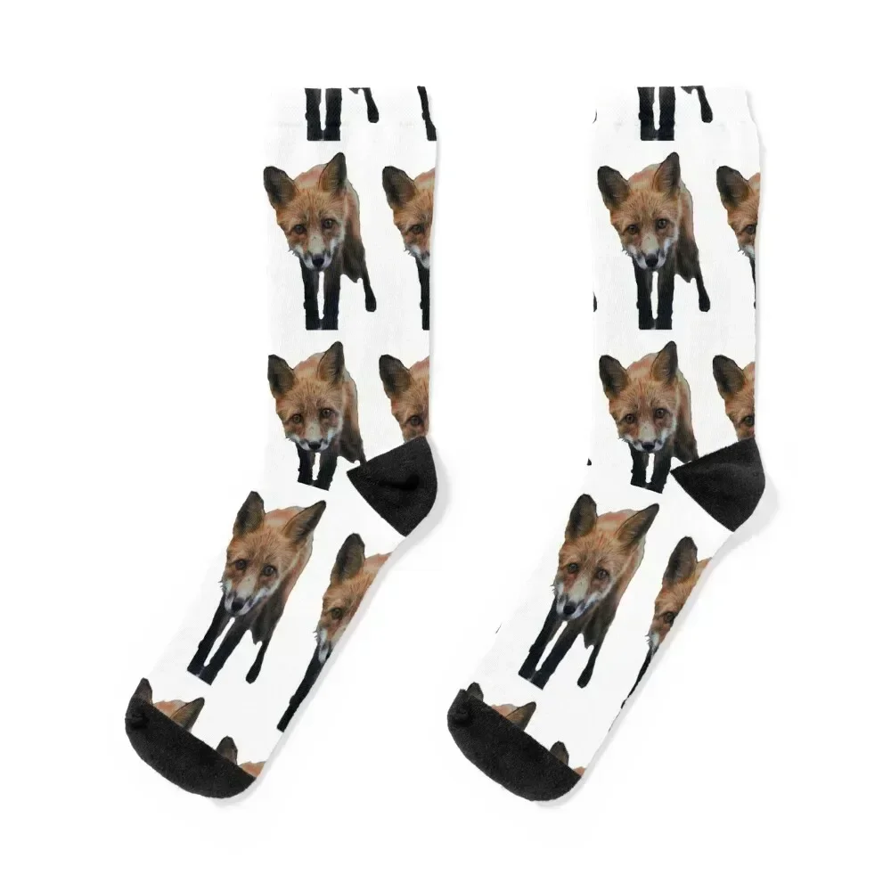 Red Fox 1 Socks Toe sports gifts funny sock hockey Socks Women Men's FASHION winter Run Boy Child Socks Women's
Red Fox 1 Socks Toe sports gifts funny sock hockey Socks Women Men's FASHION winter Run Boy Child Socks Women's