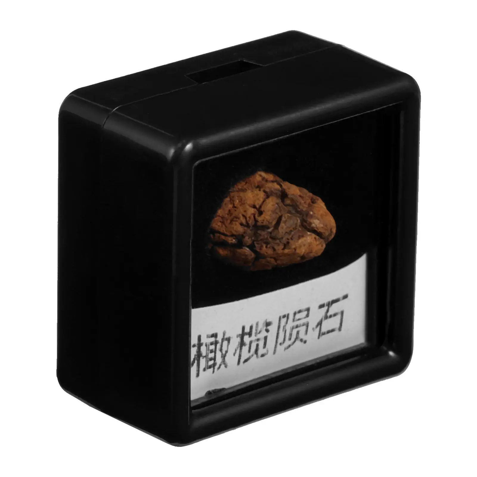 Meteorite Specimen for Decor Educational Plaything Real Meteorite Sample Ideal for Collecting and Display Lithosiderite Specimen
Meteorite Specimen for Decor Educational Plaything Real Meteorite Sample Ideal for Collecting and Display Lithosiderite Specimen