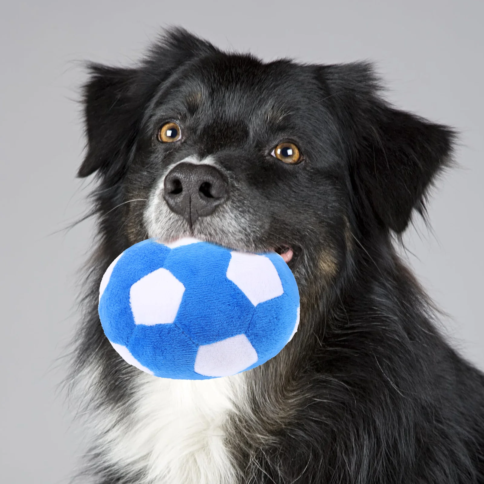 Stuffed Dog Molar Ball Plaything Dog Chewing Toy Plush Football Shape Puppy Teething Toy dog chewing ball
Stuffed Dog Molar Ball Plaything Dog Chewing Toy Plush Football Shape Puppy Teething Toy dog chewing ball