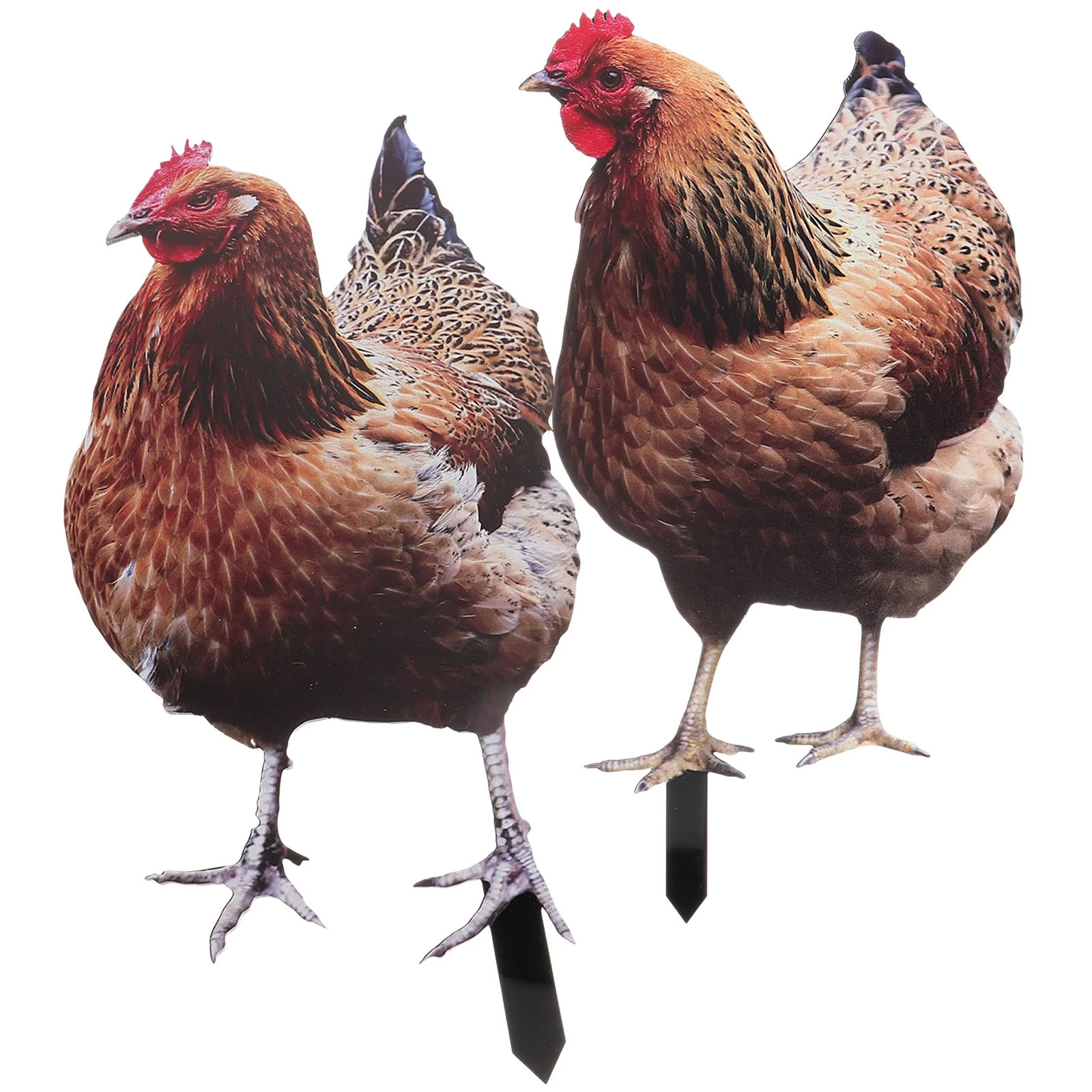 2 Pcs Chicken Garden Decoration Stakes Sculpture Decorations Figures Lawn Outdoor Ornament Insert Yard Poultry
2 Pcs Chicken Garden Decoration Stakes Sculpture Decorations Figures Lawn Outdoor Ornament Insert Yard Poultry