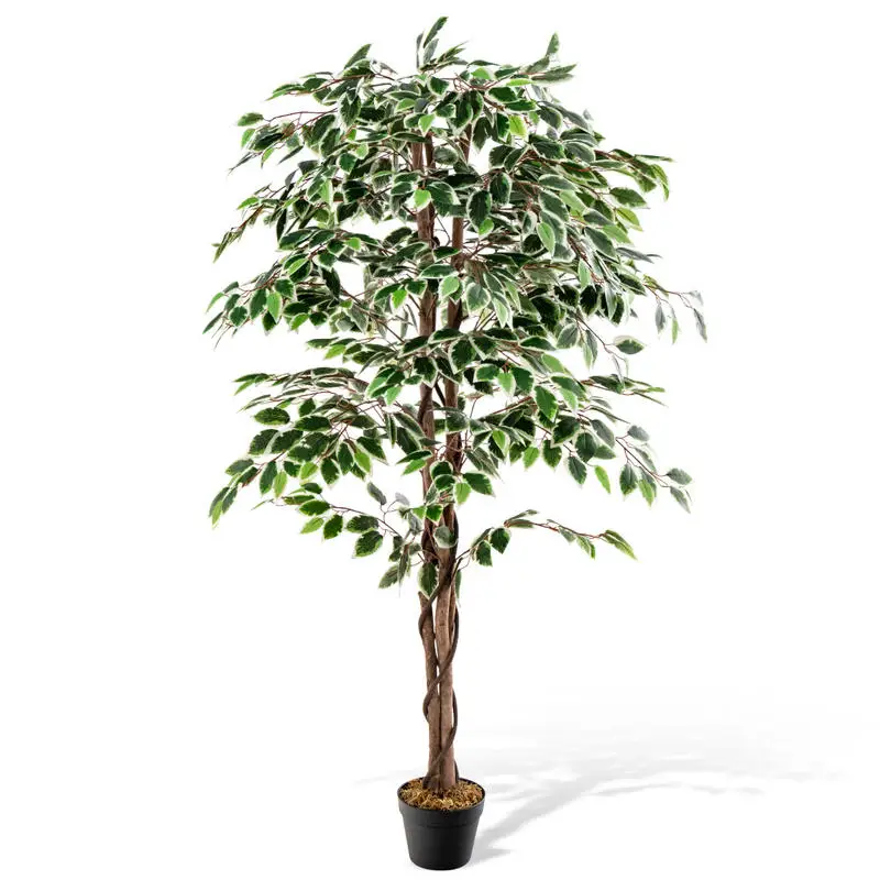 Artificial Ficus Tree Tall Faux Indoor Plant with 1008 Leaves Nursery Pot and Dried Moss
Artificial Ficus Tree Tall Faux Indoor Plant with 1008 Leaves Nursery Pot and Dried Moss