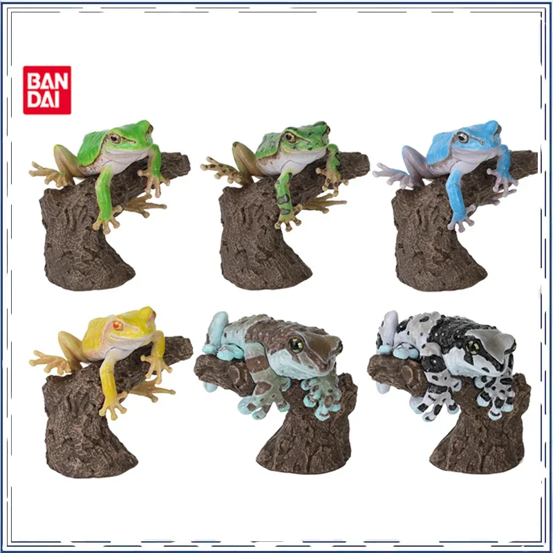 BANDAI Anime Biological Encyclopedia Rhacophorus GASHAPON Christmas Gifts or Collection Genuine Action Figure Model Toys
BANDAI Anime Biological Encyclopedia Rhacophorus GASHAPON Christmas Gifts or Collection Genuine Action Figure Model Toys