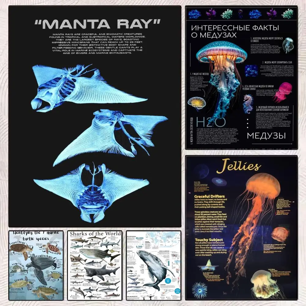 Marine Biological Information Poster HD Art Mural Wallart Poster Waterproof Vintage Print Decor for Home Decoration DIY Durable
Marine Biological Information Poster HD Art Mural Wallart Poster Waterproof Vintage Print Decor for Home Decoration DIY Durable