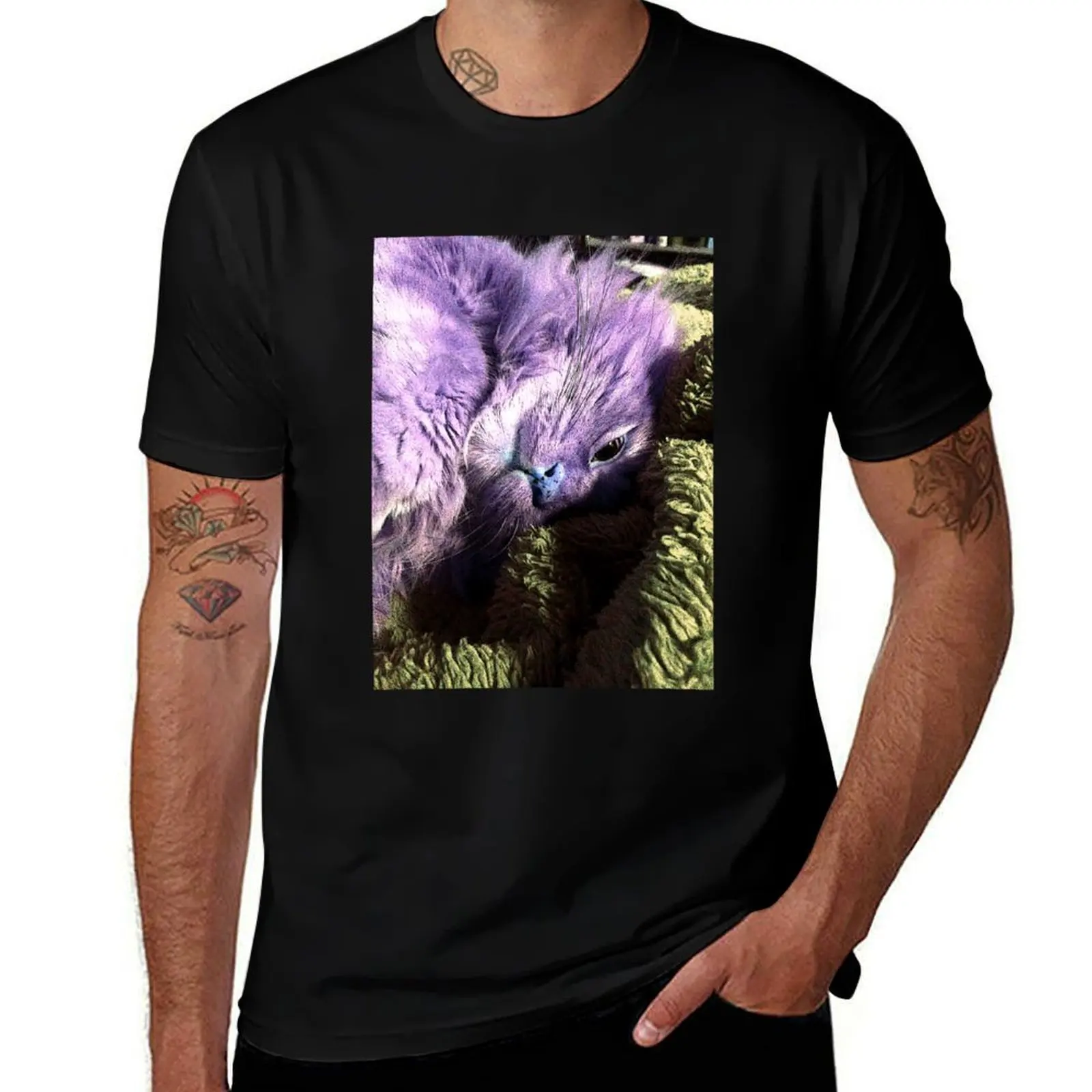 Purple Cat on Green Blanket T-Shirt heavyweights luxury t-shirt football t shirt Clothing plus size men clothing
Purple Cat on Green Blanket T-Shirt heavyweights luxury t-shirt football t shirt Clothing plus size men clothing