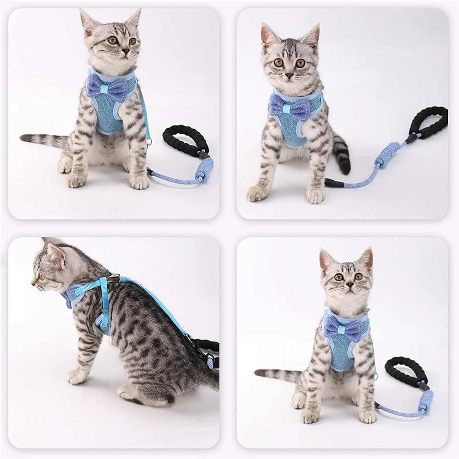 Ensure maximum safety and comfort for your furry companion with this adjustable, comfortable, and safe dog harness, perfect for
Ensure maximum safety and comfort for your furry companion with this adjustable, comfortable, and safe dog harness, perfect for