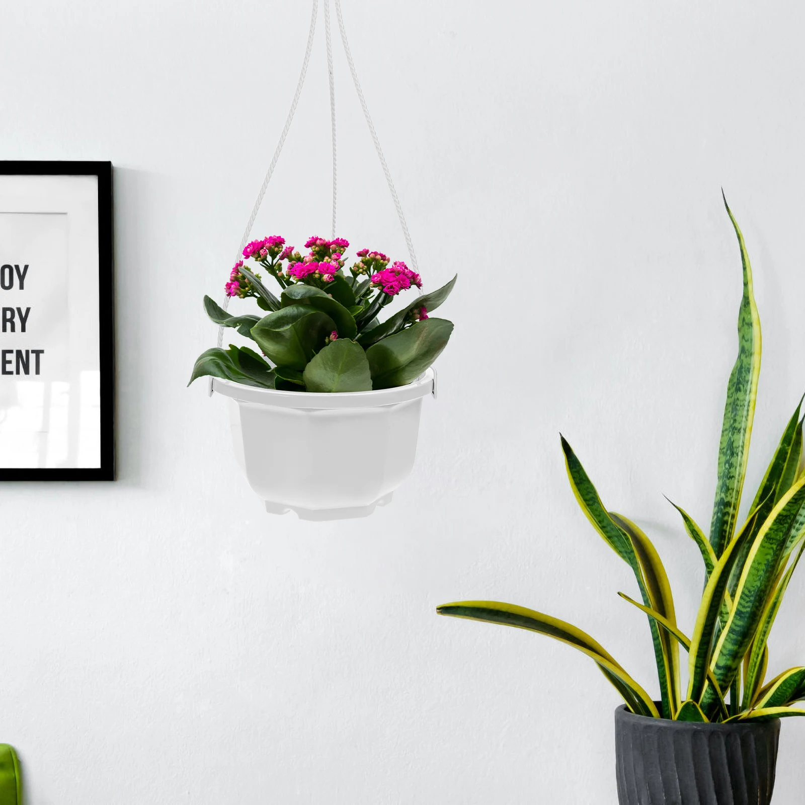 8pcs Flower Pots Hanging Planters for Succulents Balcony Garden Decor White Durable Thick Plastic Flower Pots E160 
8pcs Flower Pots Hanging Planters for Succulents Balcony Garden Decor White Durable Thick Plastic Flower Pots E160