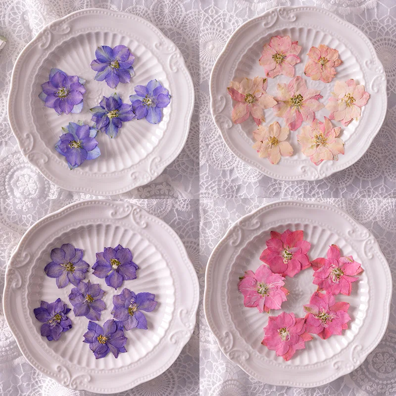 48Pcs Small Pack of Natural Dried Flowers for DIY Pressed Flower Bookmarks, Resin Crafts, Creative Phone Case Plant Specimens, Face Flower Stickers, Petal Makeup, Flying Swallow Flower, Colorful Photo Frame Specimens
48Pcs Small Pack of Natural Dried Flowers for DIY Pressed Flower Bookmarks, Resin Crafts, Creative Phone Case Plant Specimens, Face Flower Stickers, Petal Makeup, Flying Swallow Flower, Colorful Photo Frame Specimens
