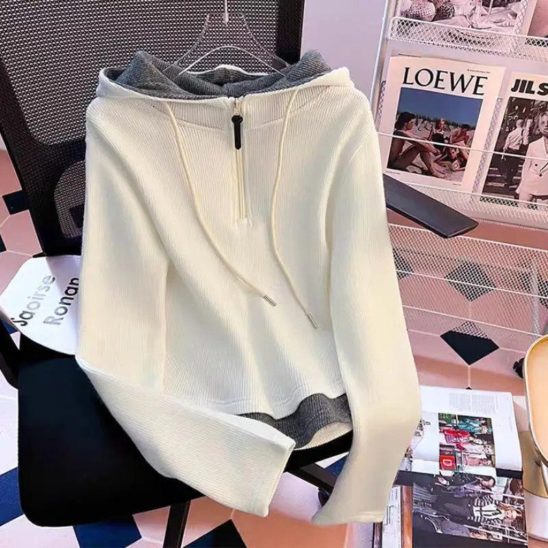 Hooded Hoodies Zip Up Woman Y2K Japanese 2000S Loose Comfortable Trend Wear Unisex Round-Neck Harajuku Couple Stylish Skateboard
Hooded Hoodies Zip Up Woman Y2K Japanese 2000S Loose Comfortable Trend Wear Unisex Round-Neck Harajuku Couple Stylish Skateboard