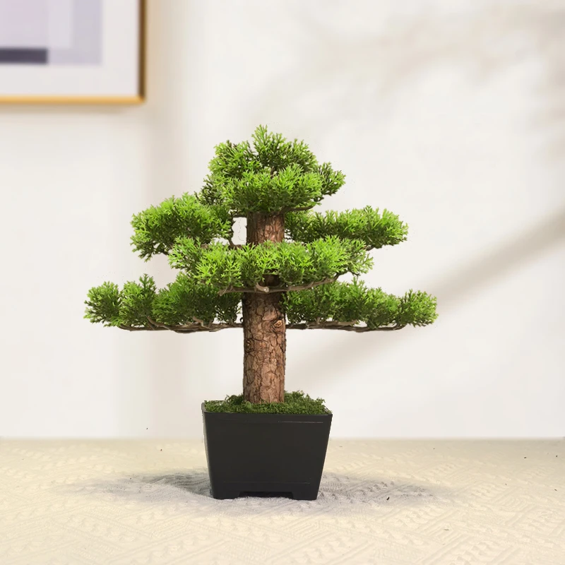 Artificial Plant Bonsai, Simulated Trees, Potted Plants, Artificial Flowers, Dining Table Potted Decorations, Finished Products
Artificial Plant Bonsai, Simulated Trees, Potted Plants, Artificial Flowers, Dining Table Potted Decorations, Finished Products