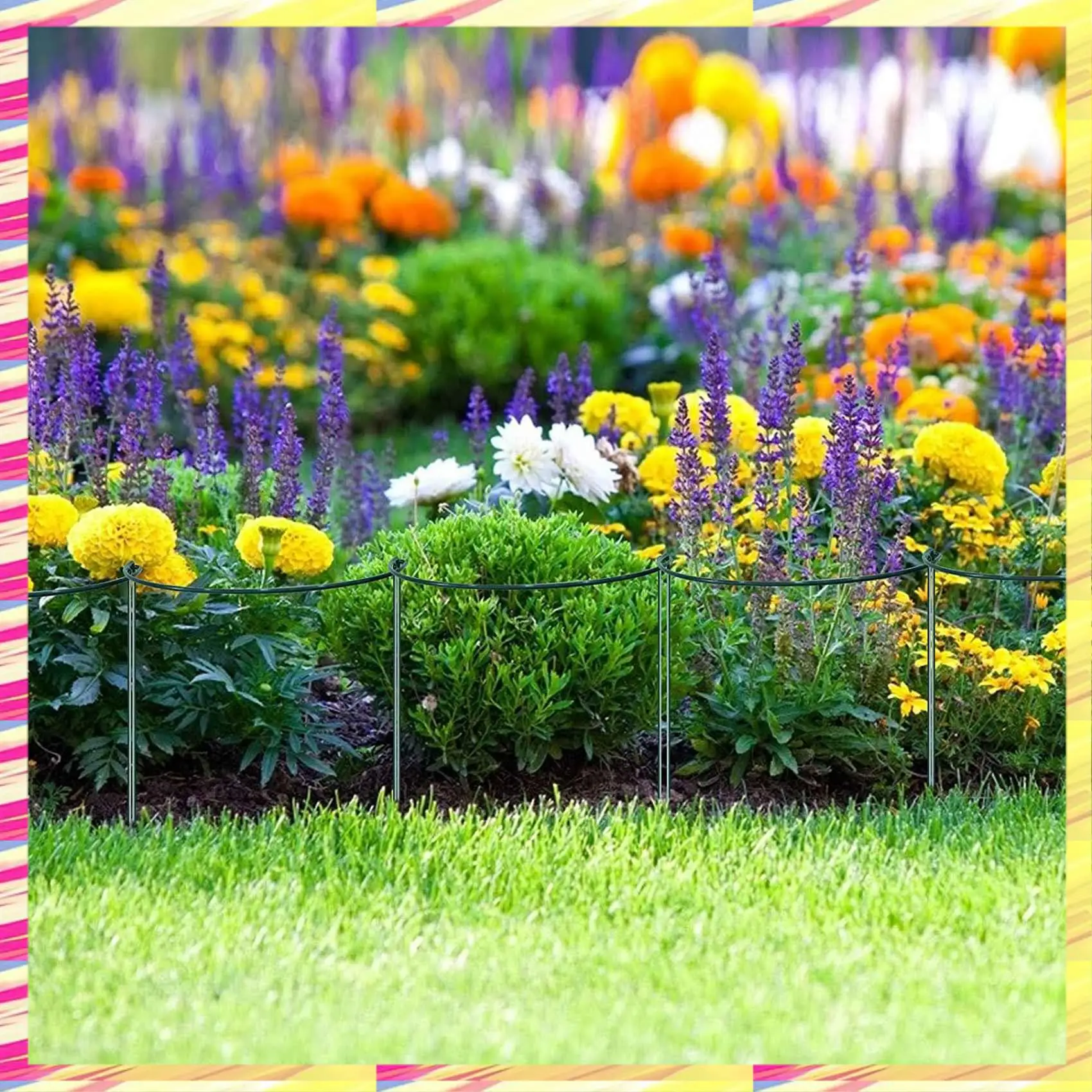 ABJJ Garden Support Stake, 6-Pack Half Round Metal Garden Plant Supports, Garden Plant Support Ring, Garden Plant Support
ABJJ Garden Support Stake, 6-Pack Half Round Metal Garden Plant Supports, Garden Plant Support Ring, Garden Plant Support