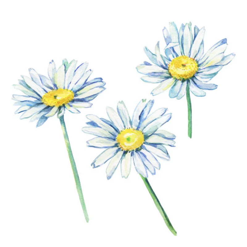 Для FS 1/8 Tank Cheetah Shark RC RC RC автомобиль металлическое обновление поворотный рычаг рулевая чашка заднего моста сиденья в сборе
Для FS 1/8 Tank Cheetah Shark RC RC RC автомобиль металлическое обновление поворотный рычаг рулевая чашка заднего моста сиденья в сборе