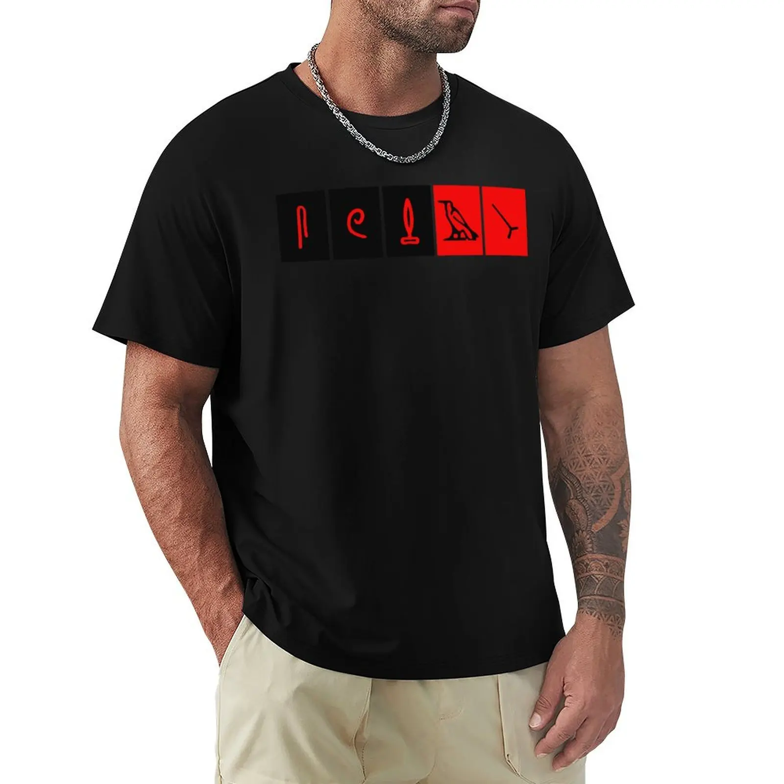 Lost Dharma Initiative Hieroglyphics T-Shirt T-shirts oversize aesthetic clothes men t shirts high quality
Lost Dharma Initiative Hieroglyphics T-Shirt T-shirts oversize aesthetic clothes men t shirts high quality