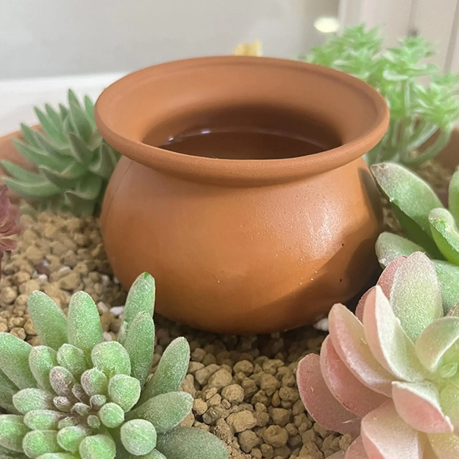 Indoor Plant Watering Spikes Flower Irrigation Vacation Plant Watering Devices For Homeowners Gardeners Renters Travelers Home
Indoor Plant Watering Spikes Flower Irrigation Vacation Plant Watering Devices For Homeowners Gardeners Renters Travelers Home