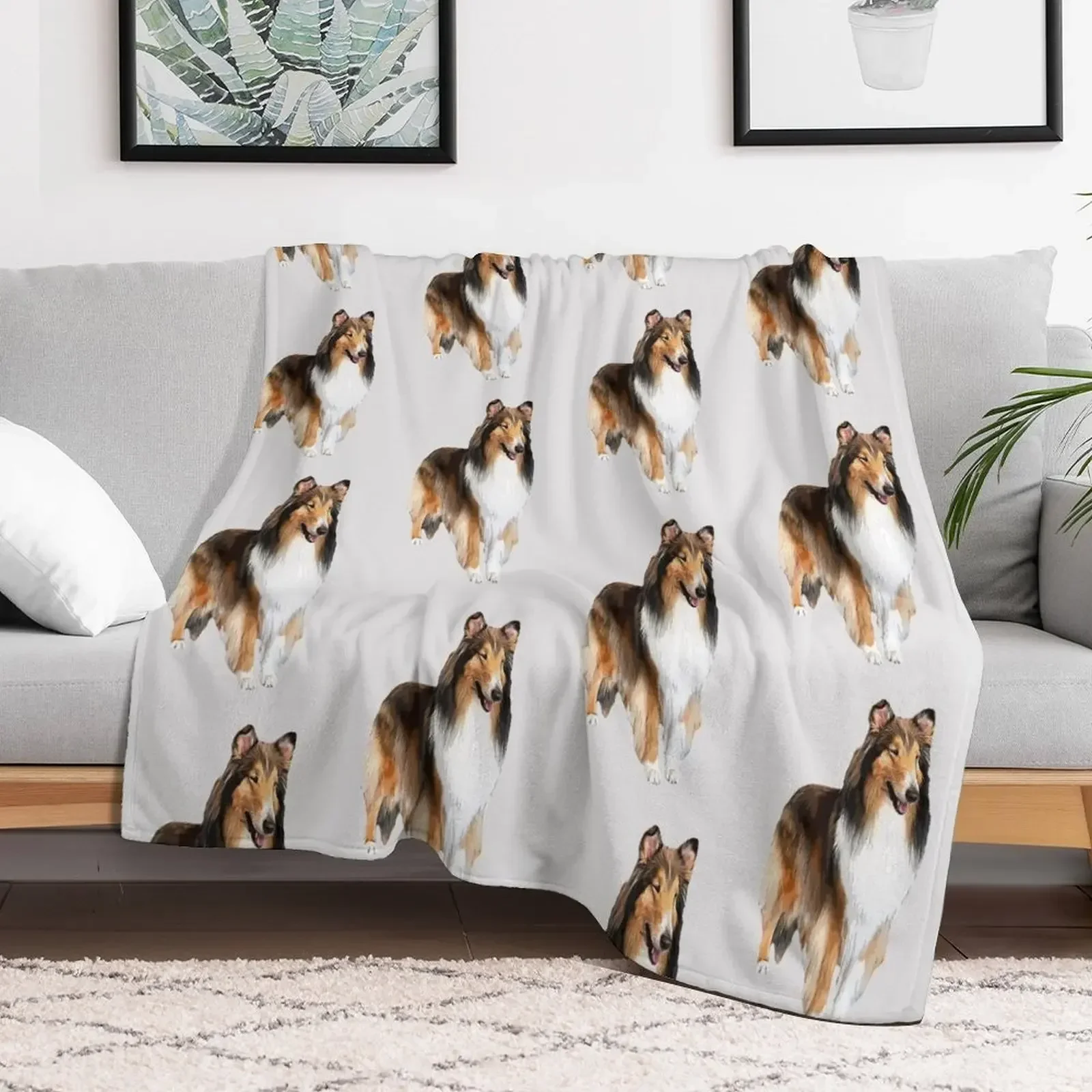Rough Collie Stunning Look! Throw Blanket Cute Plaid anime Beach Furrys Blankets
Rough Collie Stunning Look! Throw Blanket Cute Plaid anime Beach Furrys Blankets