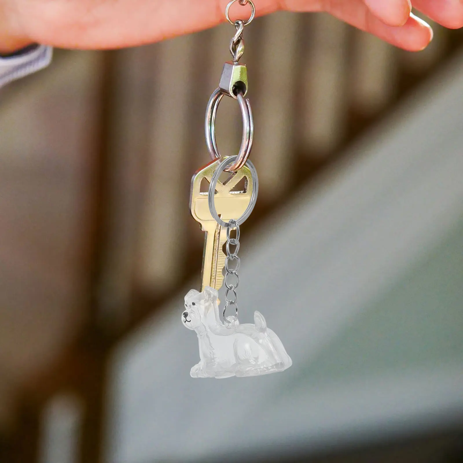 4pcs Keepsake Keychain Transparent Dog Storage Pendant Cute Animal Bag Charm Souvenir For Lovers Dog Memorial Box Keyring Wallet
4pcs Keepsake Keychain Transparent Dog Storage Pendant Cute Animal Bag Charm Souvenir For Lovers Dog Memorial Box Keyring Wallet