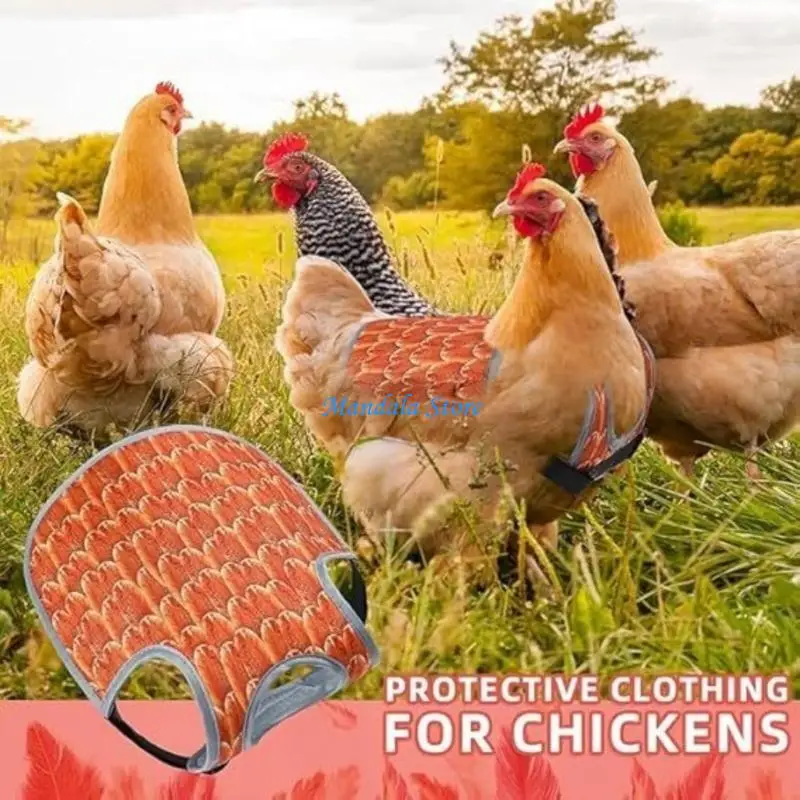 U2JC MultiPurpose Bird Guard Set Reduces Wetness Cold Stress in Poultry
U2JC MultiPurpose Bird Guard Set Reduces Wetness Cold Stress in Poultry