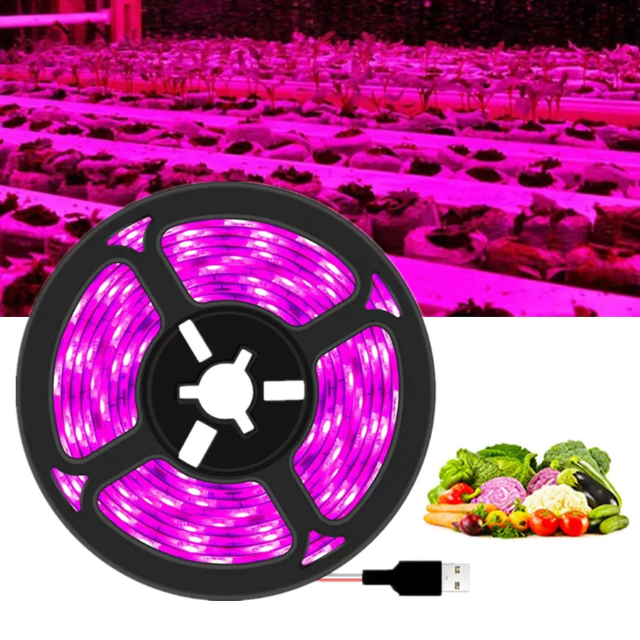 Led Grow Strips Red Blue Phyto Lamp 12V SMD2835 Chip Growth Lights Fitolamp For Indoor Flower Plant Growing Tent Tape
Led Grow Strips Red Blue Phyto Lamp 12V SMD2835 Chip Growth Lights Fitolamp For Indoor Flower Plant Growing Tent Tape