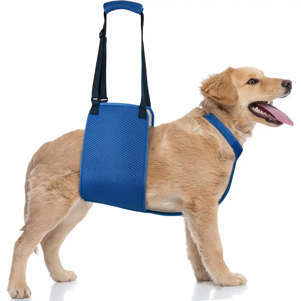 Большая шлейка для поддержки собак с регулируемым стропом для помощи при задниковой ноге, идеально подходит для пожилых людей, травм и восстановления после операции.
Большая шлейка для поддержки собак с регулируемым стропом для помощи при задниковой ноге, идеально подходит для пожилых людей, травм и восстановления после операции.