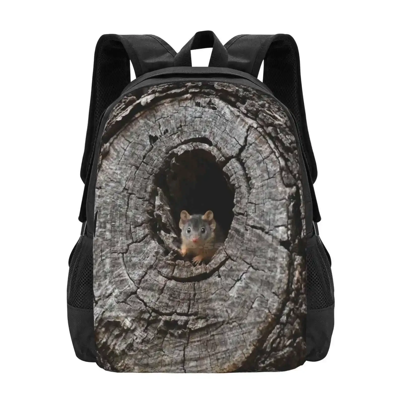 Желтый рюкзак Antechinus Baby 2, школьный рюкзак для ноутбука, дорожная сумка Antechinus Flavipes, милое очаровательное животное для малышей
Желтый рюкзак Antechinus Baby 2, школьный рюкзак для ноутбука, дорожная сумка Antechinus Flavipes, милое очаровательное животное для малышей