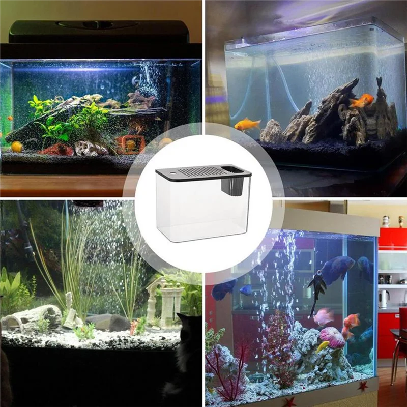 Fish Tank Aquarium Transparent Desktop Tank Turtle Aquarium Small Aquariums Decorative Fish Container For Fish-A50M
Fish Tank Aquarium Transparent Desktop Tank Turtle Aquarium Small Aquariums Decorative Fish Container For Fish-A50M
