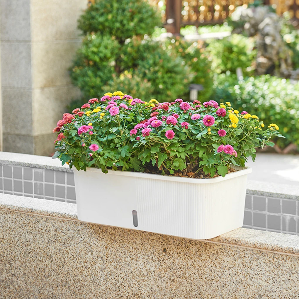 Indoor Vegetable Planting Box With Absorbent Cotton Thread For Neighbors Intimate Visual Window
Indoor Vegetable Planting Box With Absorbent Cotton Thread For Neighbors Intimate Visual Window
