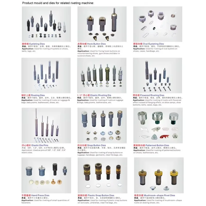 Flat Head Riveting Rod Tools / Riveting Pin Die Set Mould For Pneumatic / Hydraulic Spin Orbital Riveting Machine
Flat Head Riveting Rod Tools / Riveting Pin Die Set Mould For Pneumatic / Hydraulic Spin Orbital Riveting Machine
