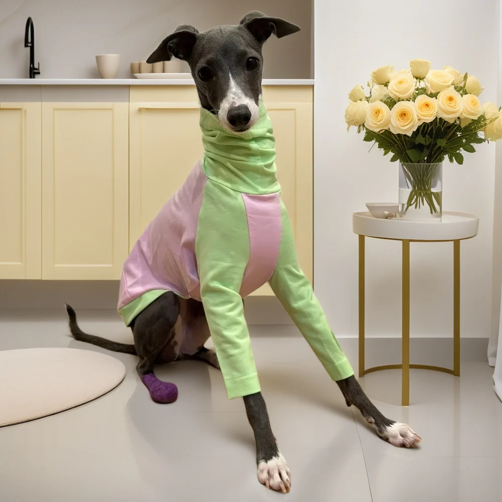 Spring Pink Soft Cotton Dog Clothes for Medium Breeds - Greyhound Whippet Bellington Puppies Loungewear Sweet Fashion Coat
Spring Pink Soft Cotton Dog Clothes for Medium Breeds - Greyhound Whippet Bellington Puppies Loungewear Sweet Fashion Coat