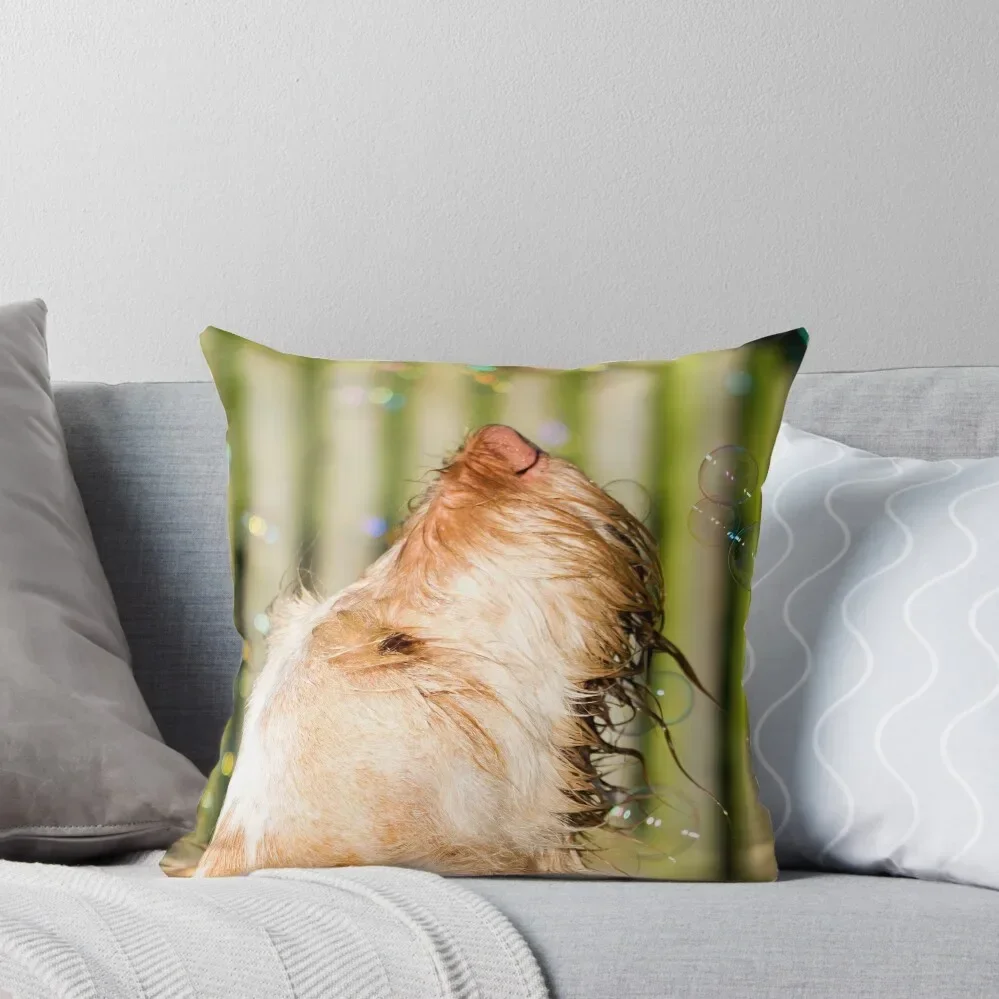 Where do thoughts come from Spinone Throw Pillow Sofa Cushions christmas decorations 2025 pillow
Where do thoughts come from Spinone Throw Pillow Sofa Cushions christmas decorations 2025 pillow