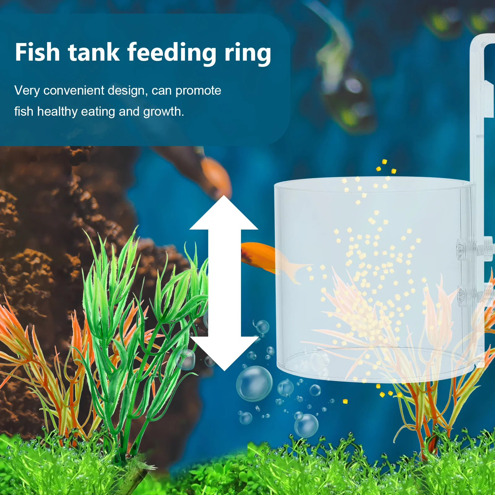 1Pcs Anti-Scattering Fish Feeding Ring Transparent Durable Acrylic Tank Feeder Healthy Growth Fish Food Holder Aquarium Tool
1Pcs Anti-Scattering Fish Feeding Ring Transparent Durable Acrylic Tank Feeder Healthy Growth Fish Food Holder Aquarium Tool